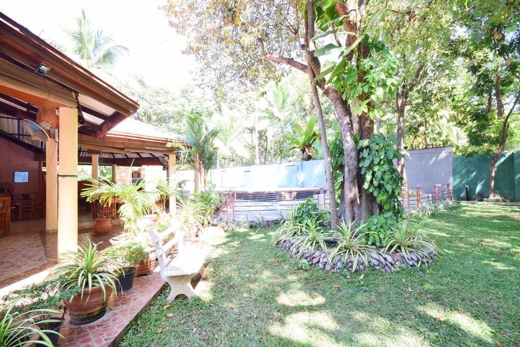 Anon Rest Hotel Dambulla Bagian luar foto