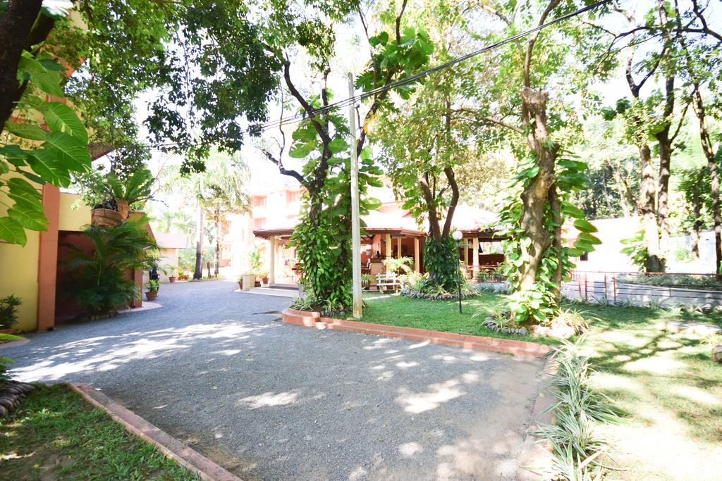 Anon Rest Hotel Dambulla Bagian luar foto